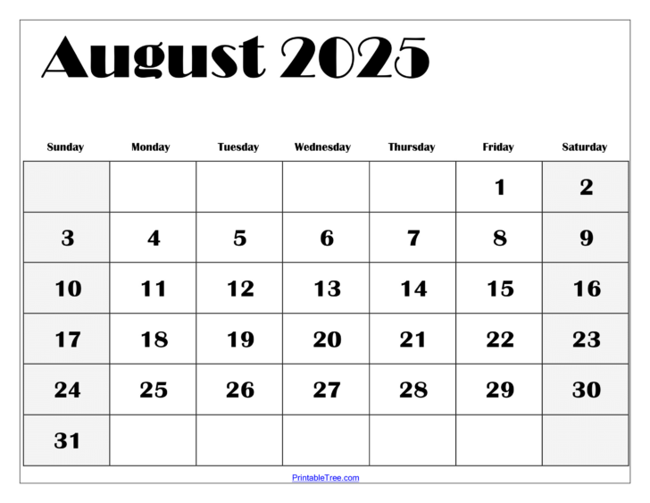 August 2025 Printable Calendar with Holidays