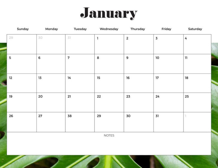 Printable Calendar 2025 Letter