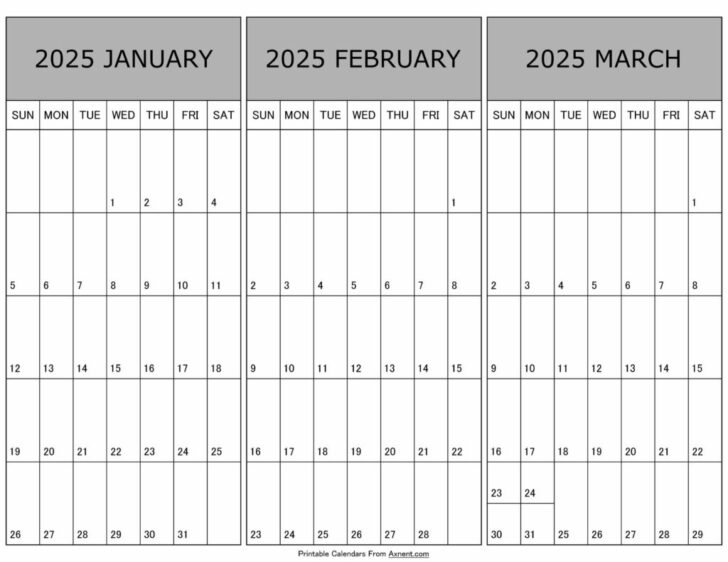 Printable Calendar 2025 January February March