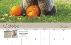 Orphaned Wildlife Center 2025 Calendar – Yearbox Calendars within Grizzly Bears 2025 Calendar Printable