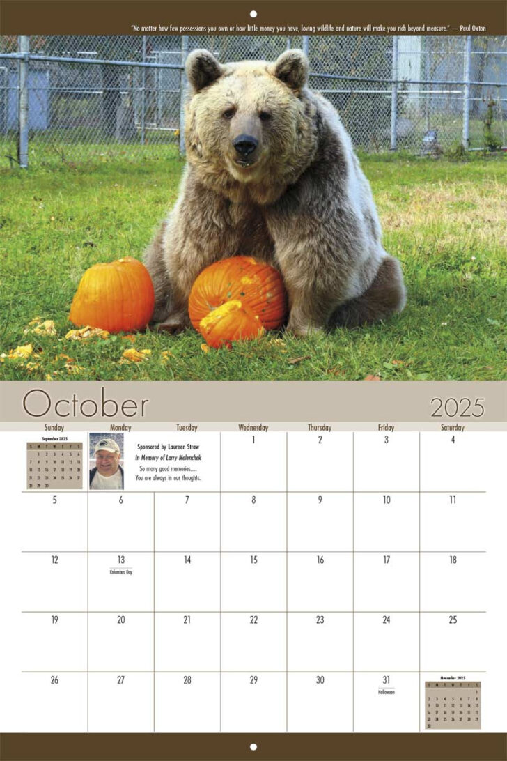 Grizzly Bears 2025 Calendar Printable
