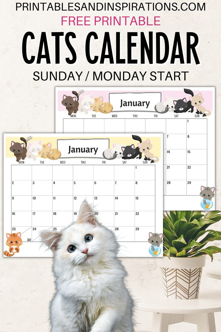 2025 Cute Cats Free Printable Monthly Calendar - Printables And intended for Free Printable Cat Calendar 2025