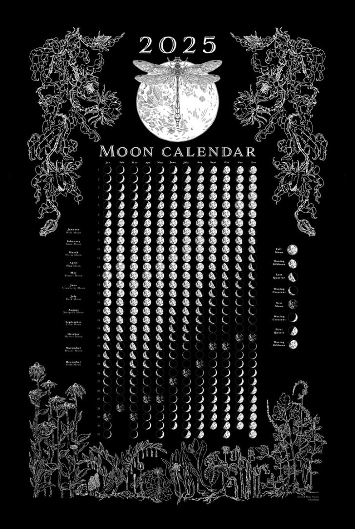 Printable Full Moon Calendar 2025