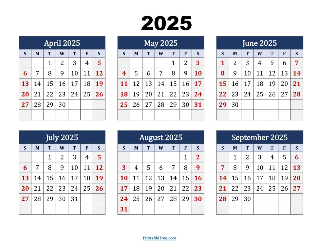 Six Month Calendar 2024-2025 Printable Pdf- 6 Months Calendar within Free Printable 6 Month Calendar 2025