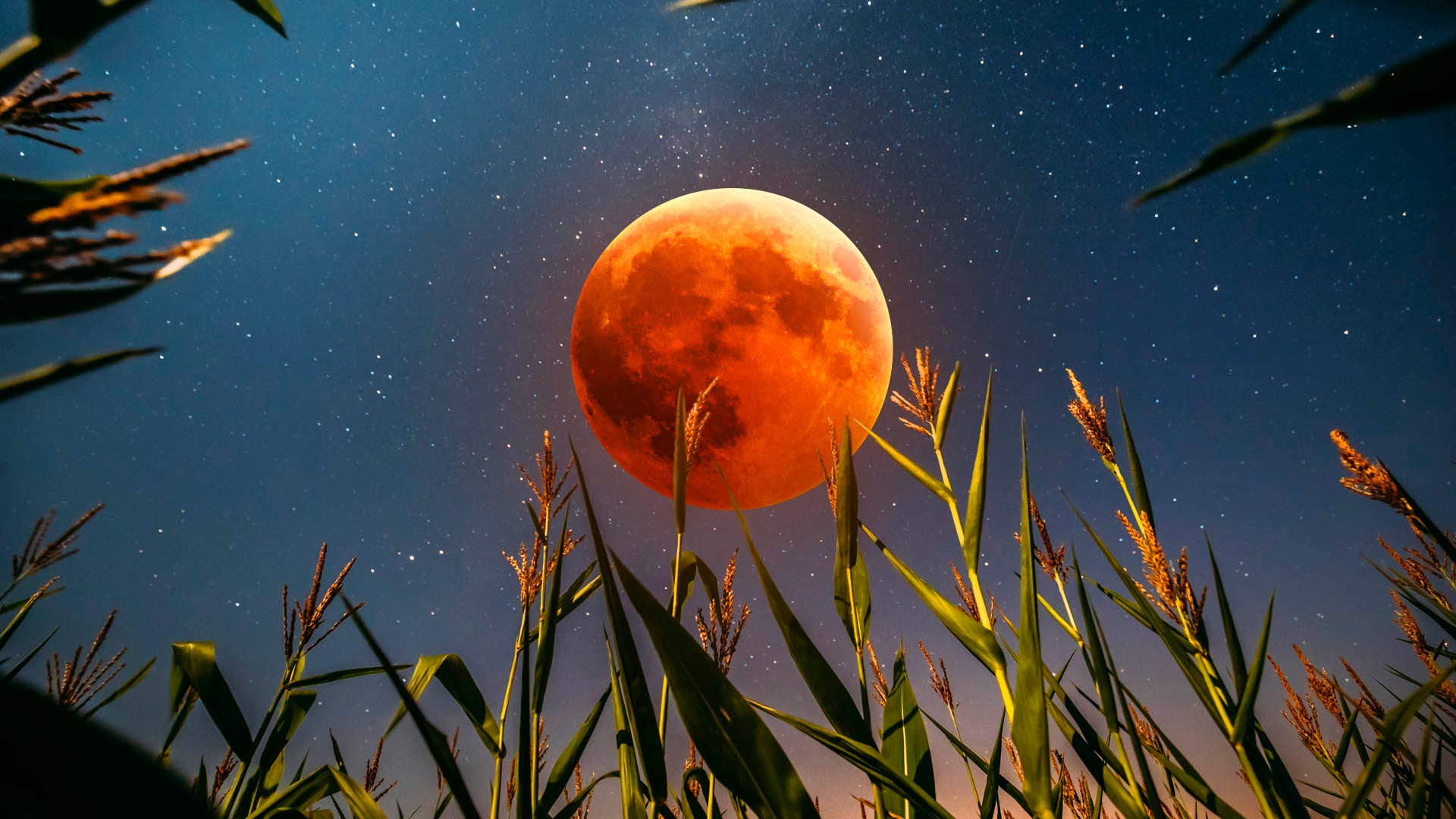 Cuando Es Luna Llena Septiembre 2025 Significado | Luna De La regarding Luna September 2025
